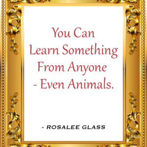 Reinventing Rosalee - You Can Learn Something From Anyone- Even Animals